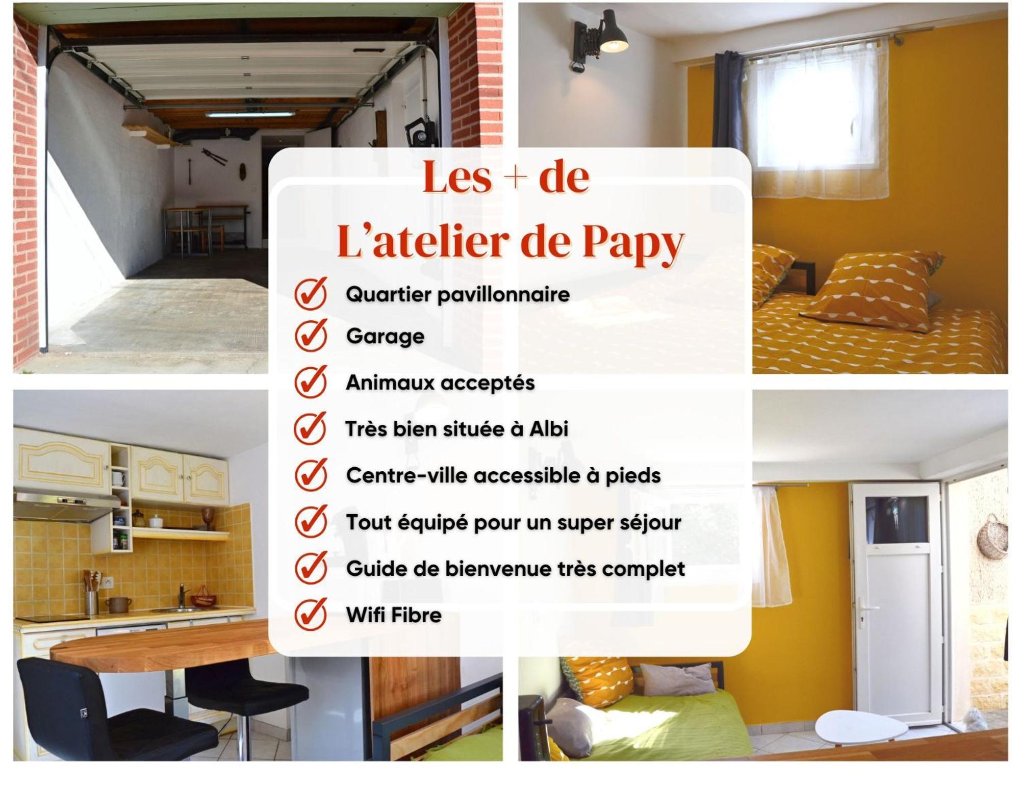 L'atelier De Papy D'albi - Parking - Centre Accessible A Pied Albi